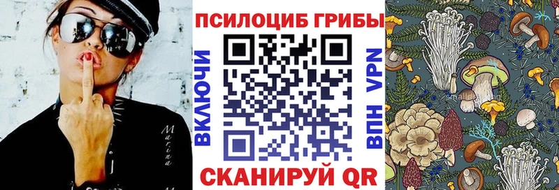 хочу наркоту  Тырныауз  Псилоцибиновые грибы Magic Shrooms 